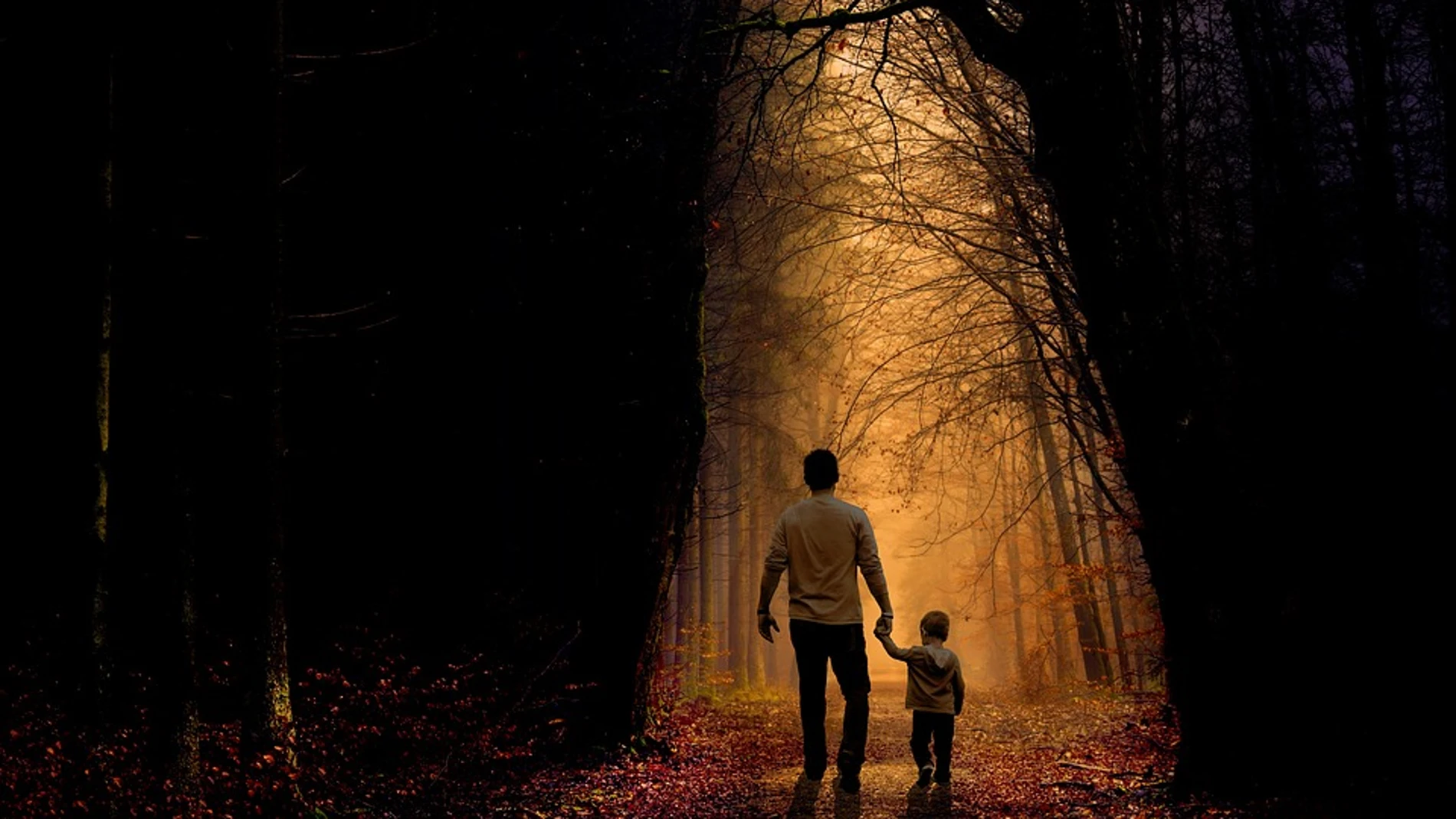 El contacto de los niños con la naturaleza tiene beneficios en la edad adulta / Pixabay
