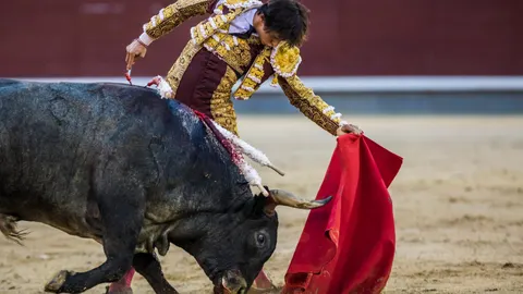 El diestro peruano Roca Rey durante el decimoséptimo festejo de la Feria de San Isidro / Foto: Alberto R. Roldán