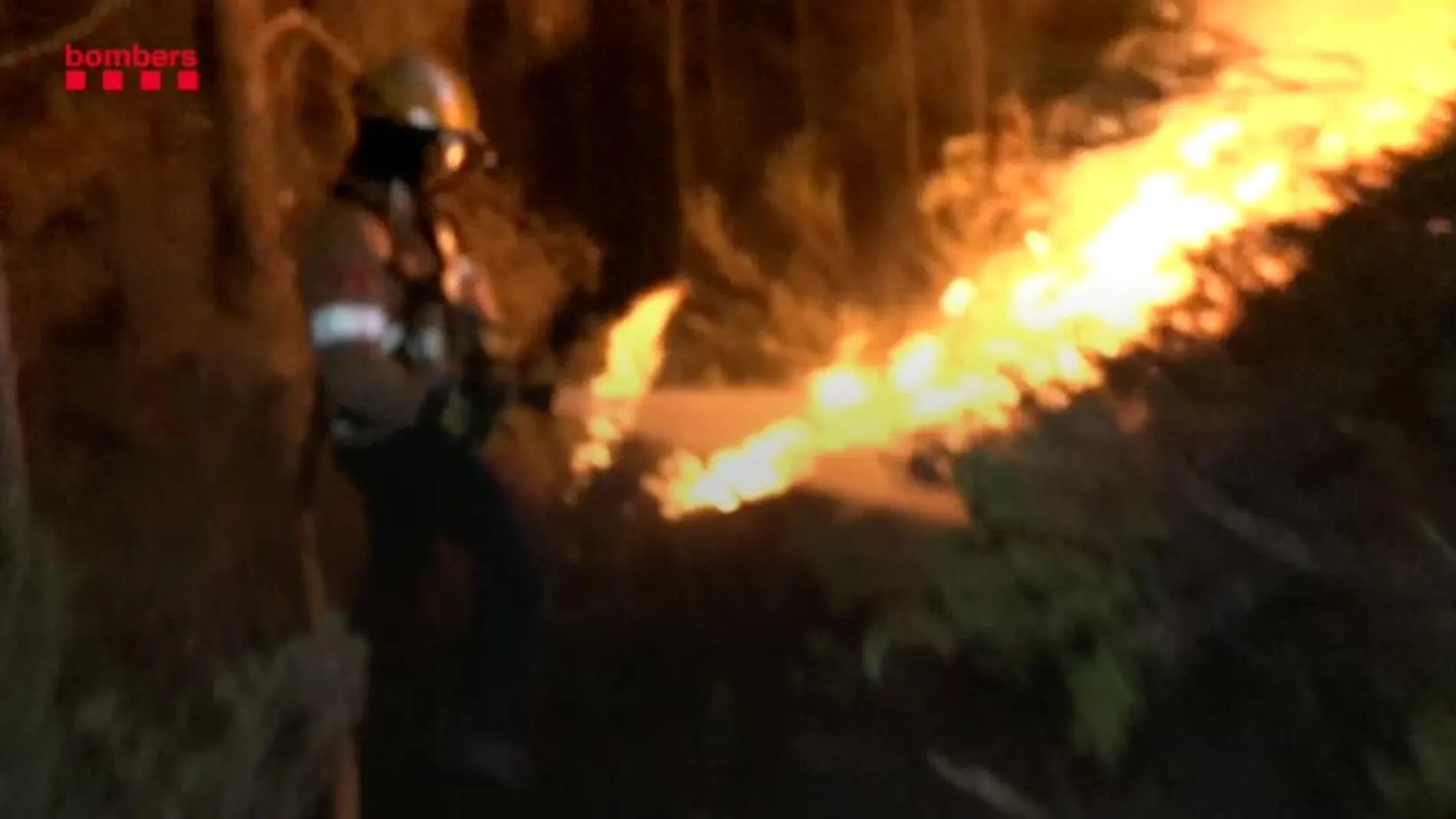 Estabilizado el incendio forestal en El Perelló (Tarragona)