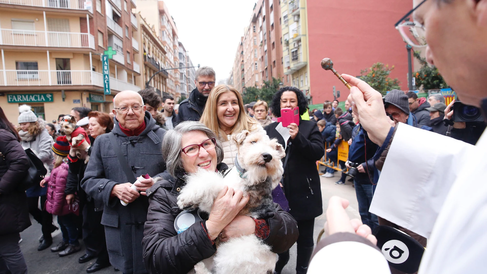 Más de un centenar de localidades de la archidiócesis de Valencia, incluida la capital, celebran la festividad de San Antonio Abad, con misas, procesiones y bendiciones de animales, ya que además de ser el patrón de los ganaderos está considerado el protector de los animales