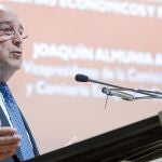 El vicepresidente de la Comisión Europea Joaquín Almunia