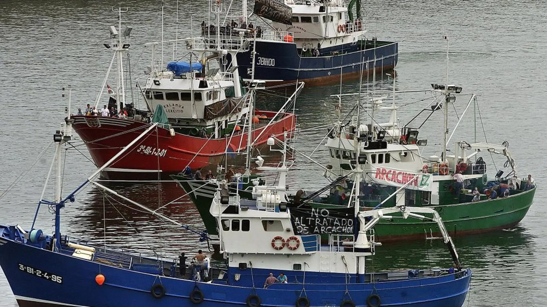 Barcos dedicados a la pesca de la anchoa en Bermeo (Vizcaya)