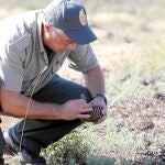La zona de Castrocontrigo se rehace un año después del incendio que la devastó