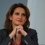 Teresa Ribera, actual ministra de Medio Ambiente en España