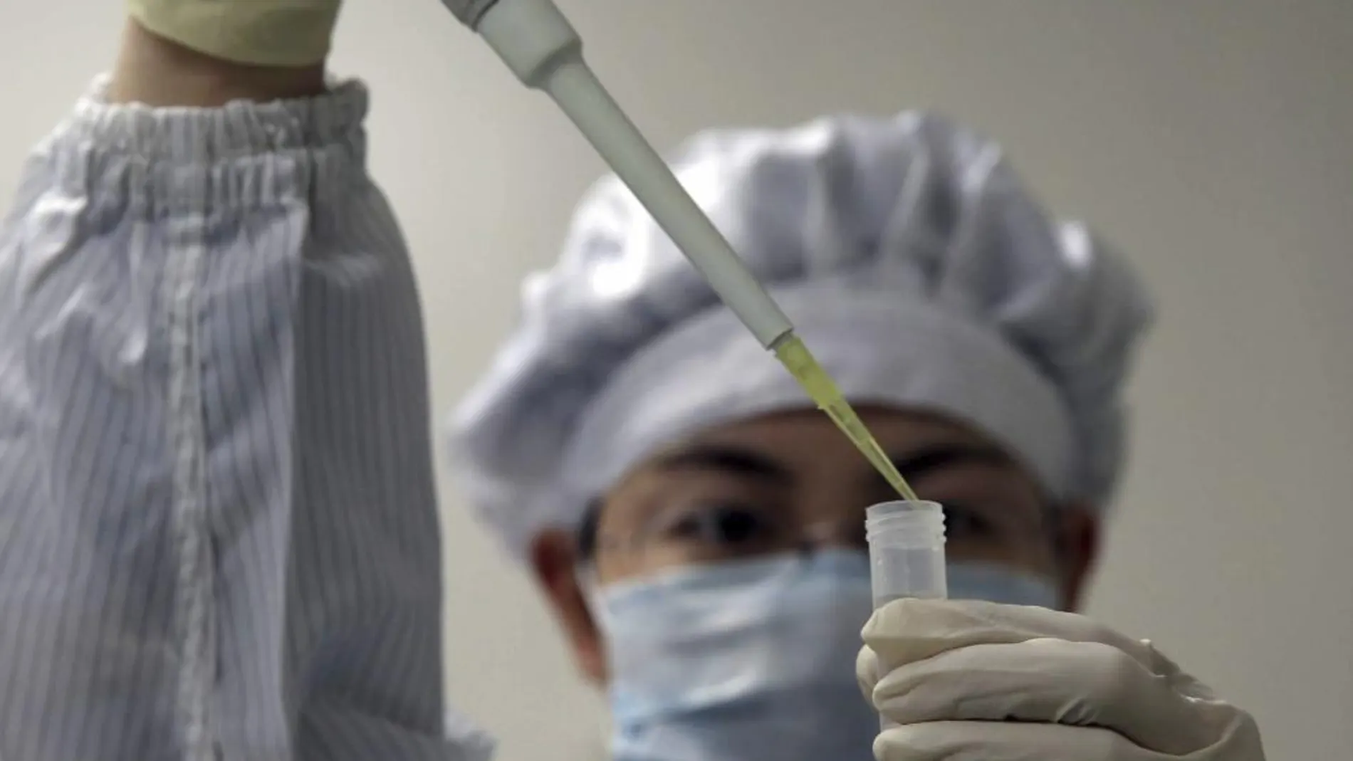 Un biólogo estudia el virus de la gripe aviar H7N9 en una empresa de investigación biológica de Shangái, China