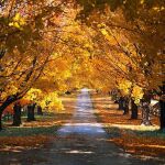El otoño llegará a las 22.44 horas del domingo y durará 89 días y 20 horas