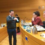 El diputado Subiela (C’s) en el momento de votar para que su compañero Woodward fuera el encargado de leer el dictamen