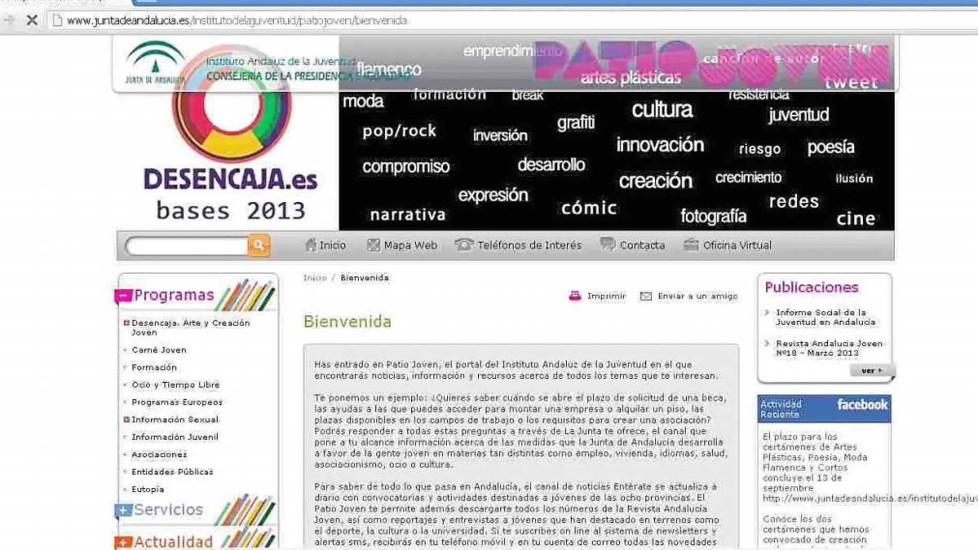 Captura de la página web del Instituto Andaluz de la Juventud (IAJ)