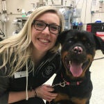 La veterinaria Brea Sandness junto a la rottweiler Stella, que sufrió quemaduras de segundo y tercer grado y desarrolló úlceras en los ojos por el contacto con el fuego. / Michigan State University