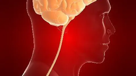Los tumores cerebrales son una de las enfermedades oncológicas más difíciles de atacar
