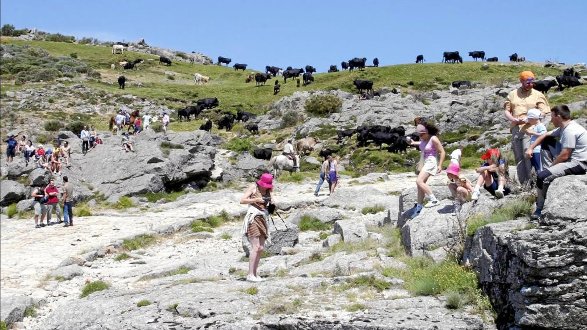 Numerosos turistas visitando el Puerto del Pico, en la provincia abulense