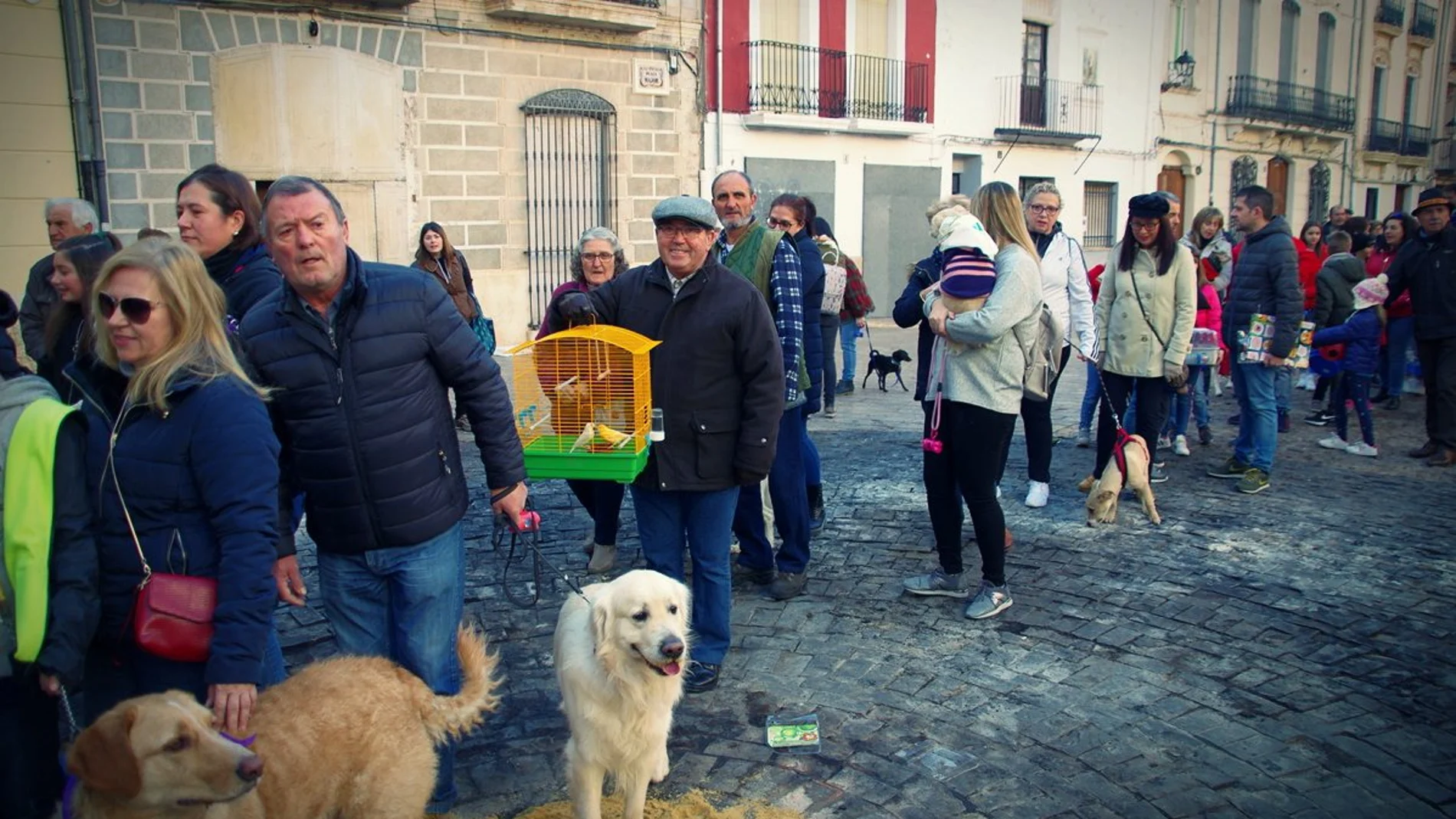 «Els Parells» ya cabalgan por Canals