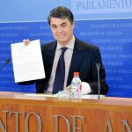 El diputado del Partido Popular, Carlos Rojas