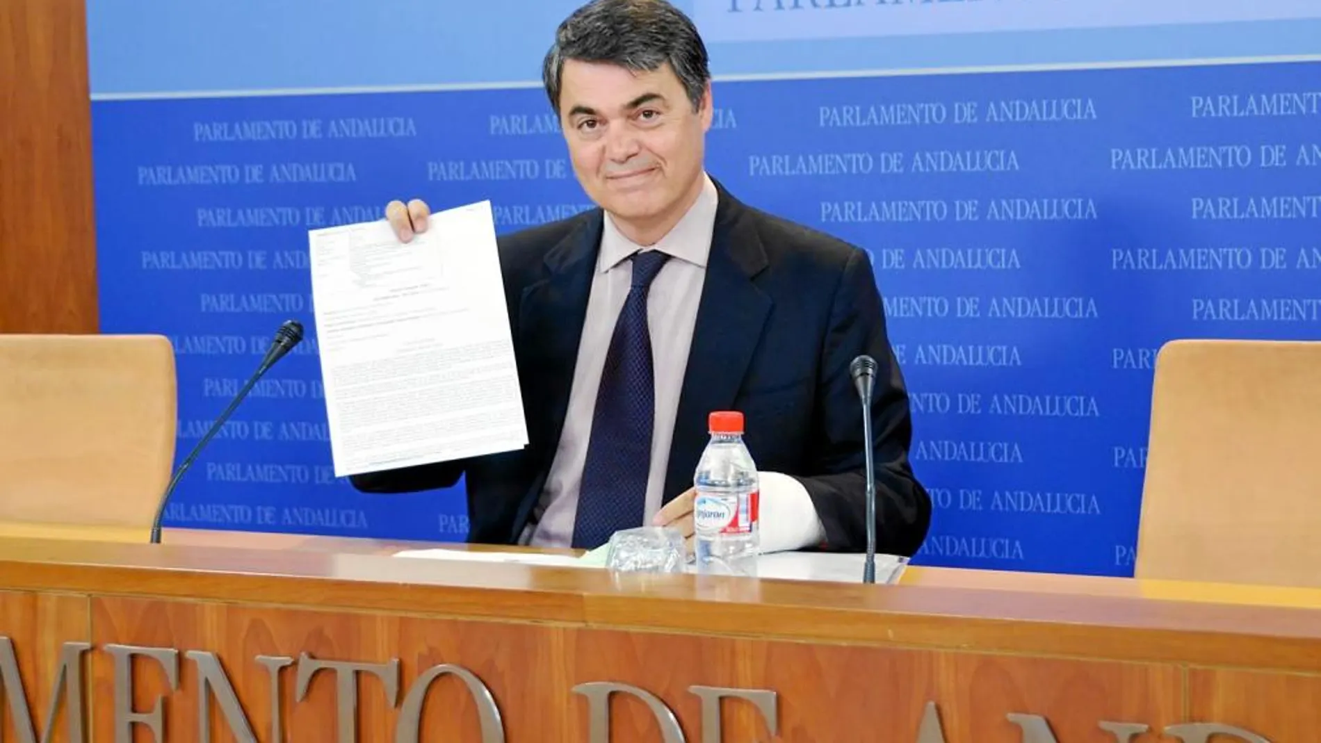 El diputado del Partido Popular, Carlos Rojas