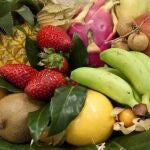 Las frutas y verduras del mercado aún están vivas