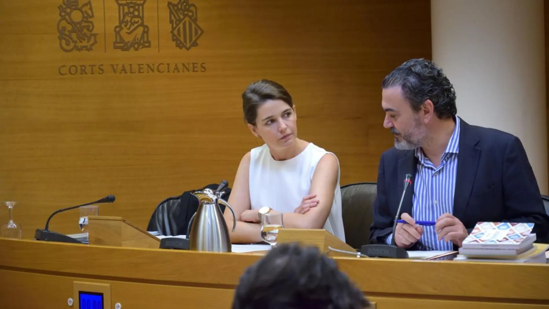 La directora gerente de la Autoridad de Transporte Metropolitano de Valencia (ATMV), María Pérez, durante su intervención en la Comisión de Obras Públicas/La Razón