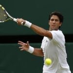 Fernando Verdasco