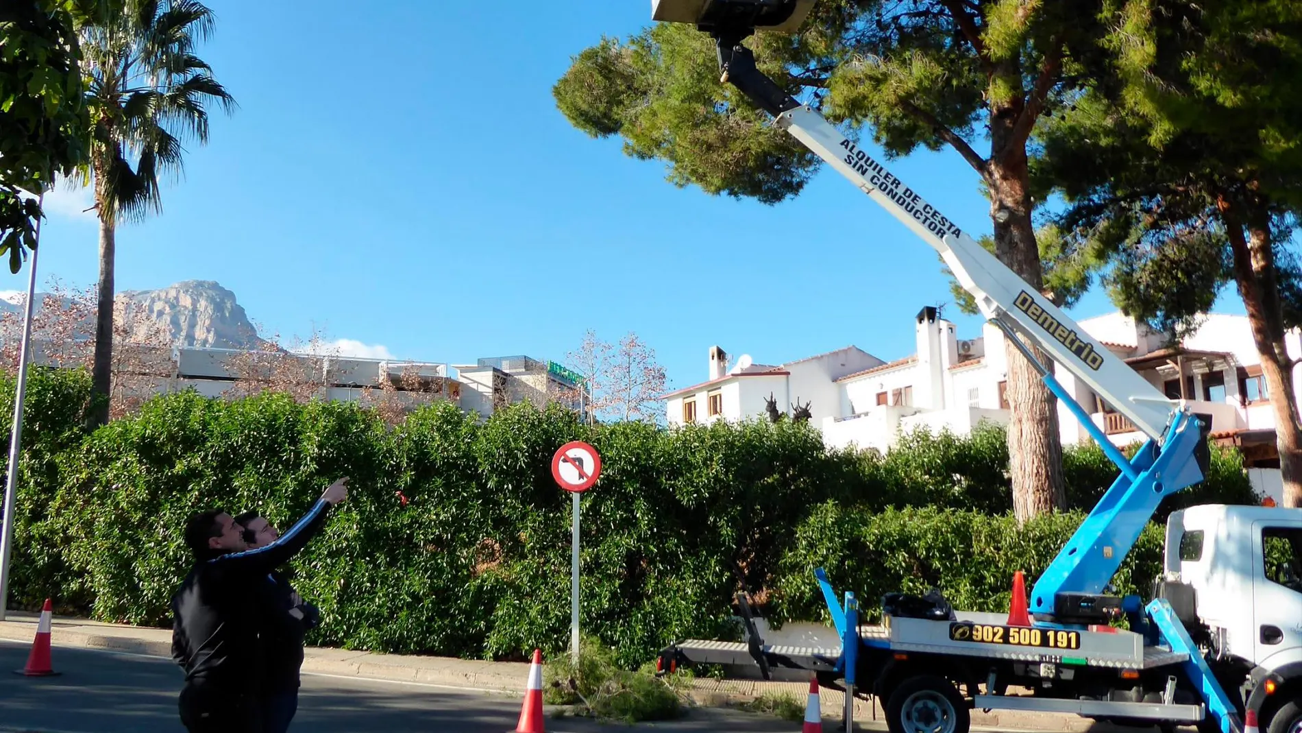 El alcalde de La Nucía, Bernabé Cano, durante las labores de supervisión de la campaña contra la procesionaria en el término municipal
