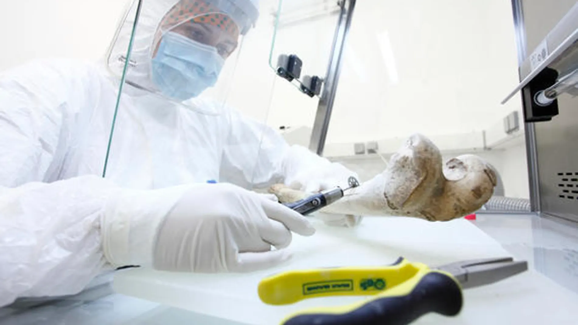 Sala blanca del laboratorio de Paleogenética en Maguncia (Alemania), donde se ha hecho el análisis del ADN óseo