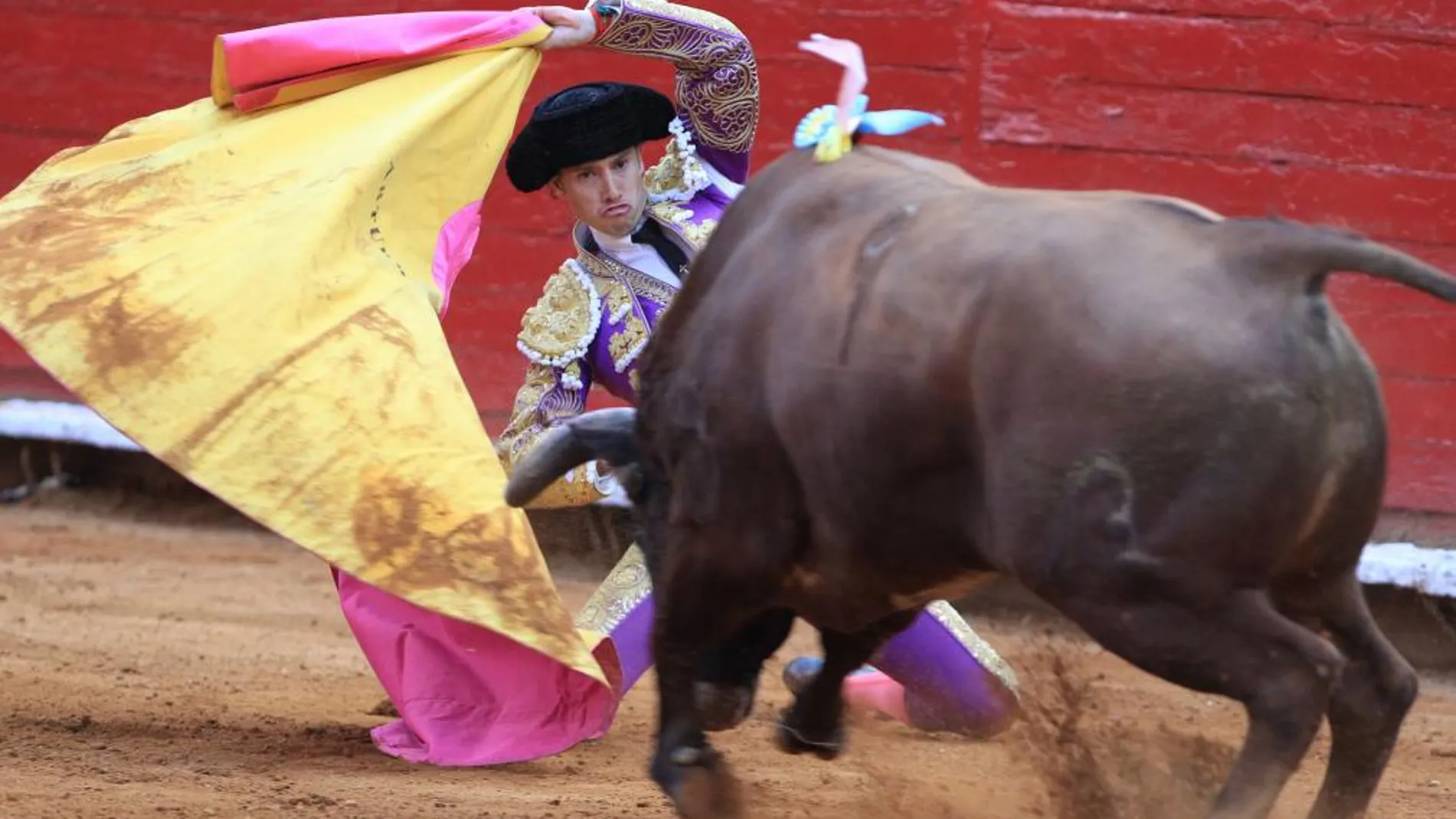 El torero mexicano Arturo Saldivar lidia su primer toro de la tarde, "Don Pato"de 490 kilogramos