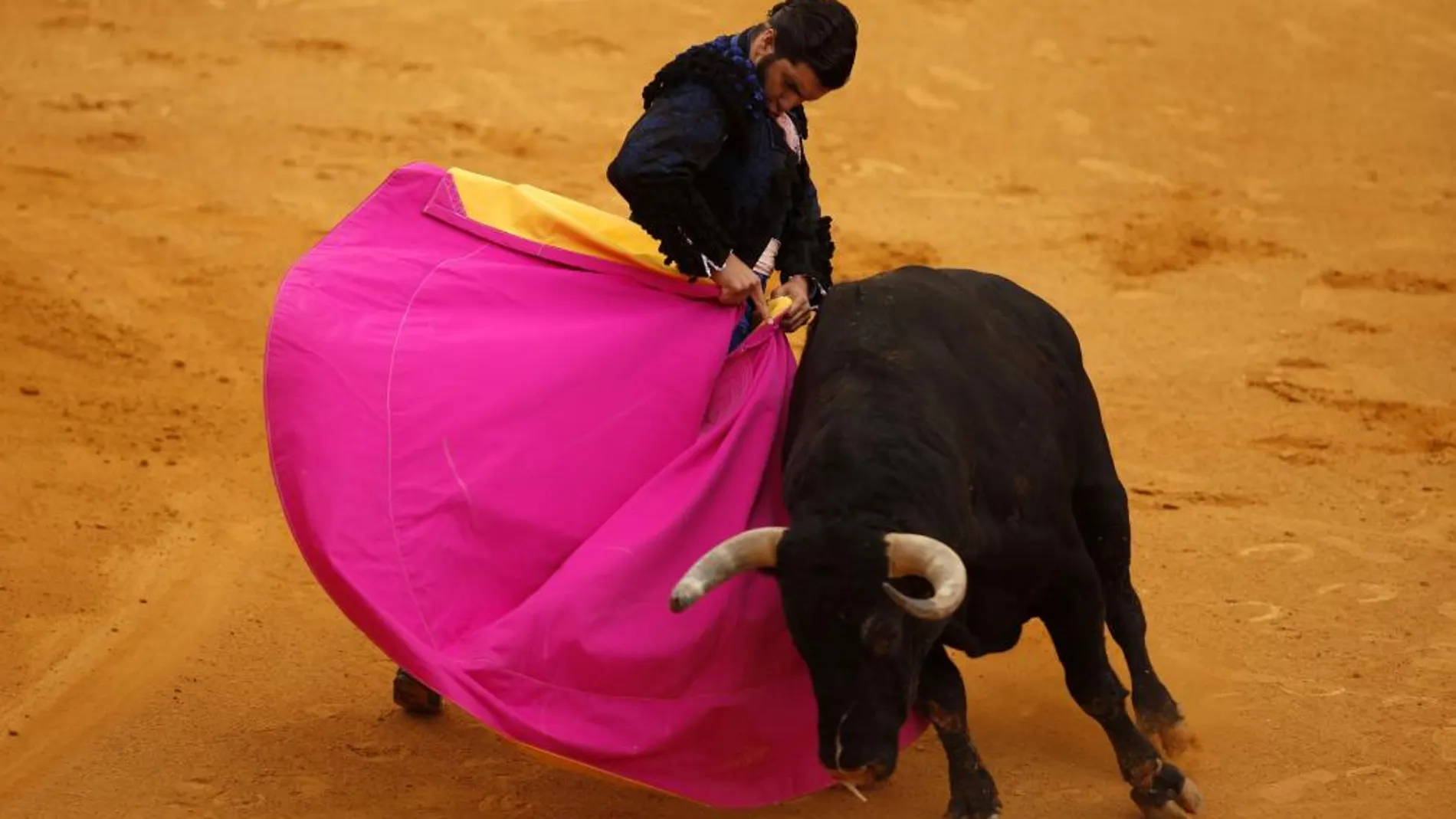 Media verónica de Morante al tercer toro de Juan Pedro Domecq