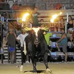  Cataluña prohíbe a los circos usar animales para dar espectáculo