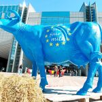 Protesta de ganaderos europeos a las puertas del Parlamento, en Bruselas / Ap