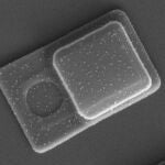 Imagen de un sensor de presión de silicio para aplicaciones intracelulares