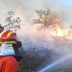 El 76 % de los incendios fueron por negligencia o intencionados