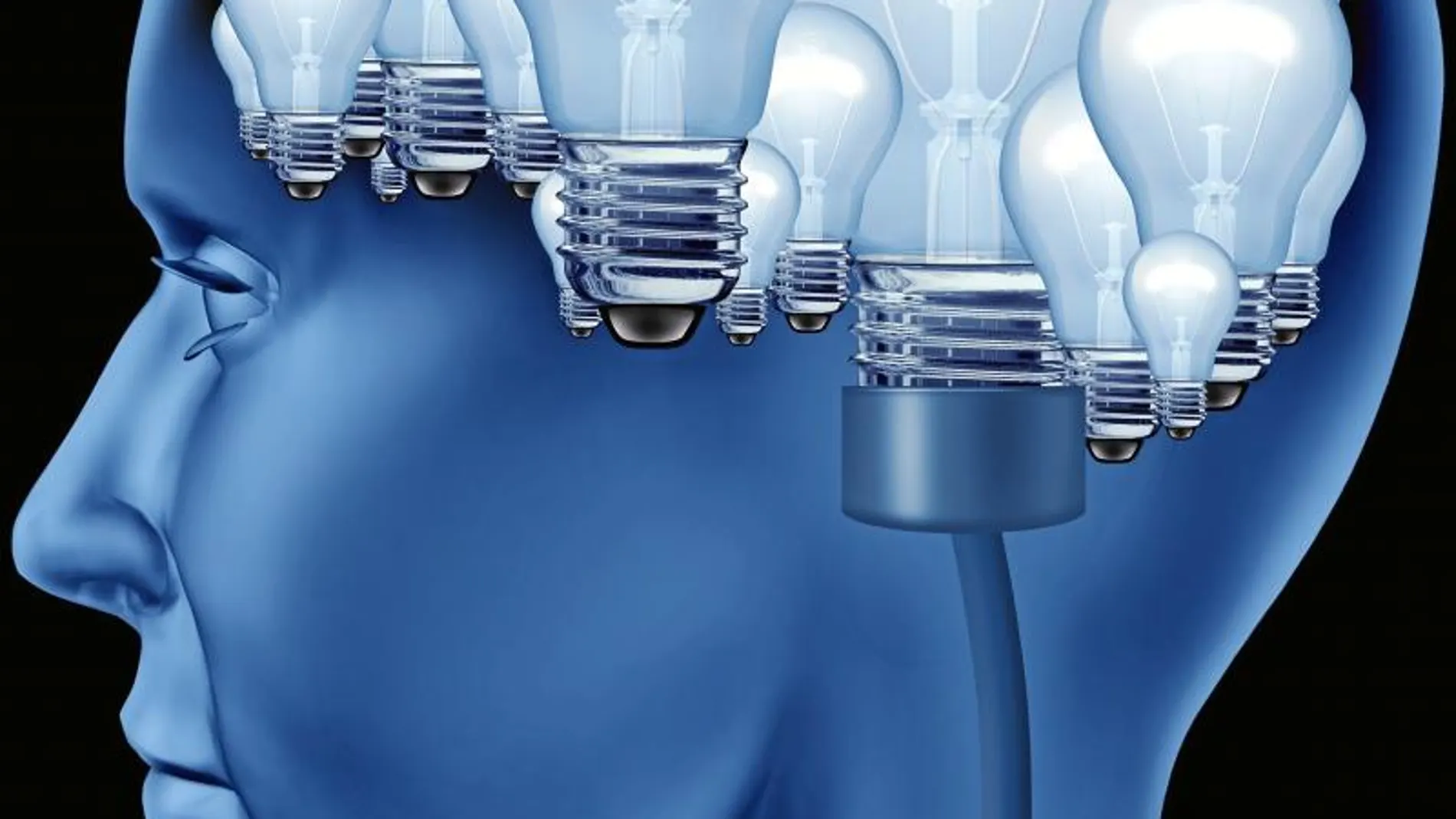 El cerebro consume más del 20% de la energía que generamos