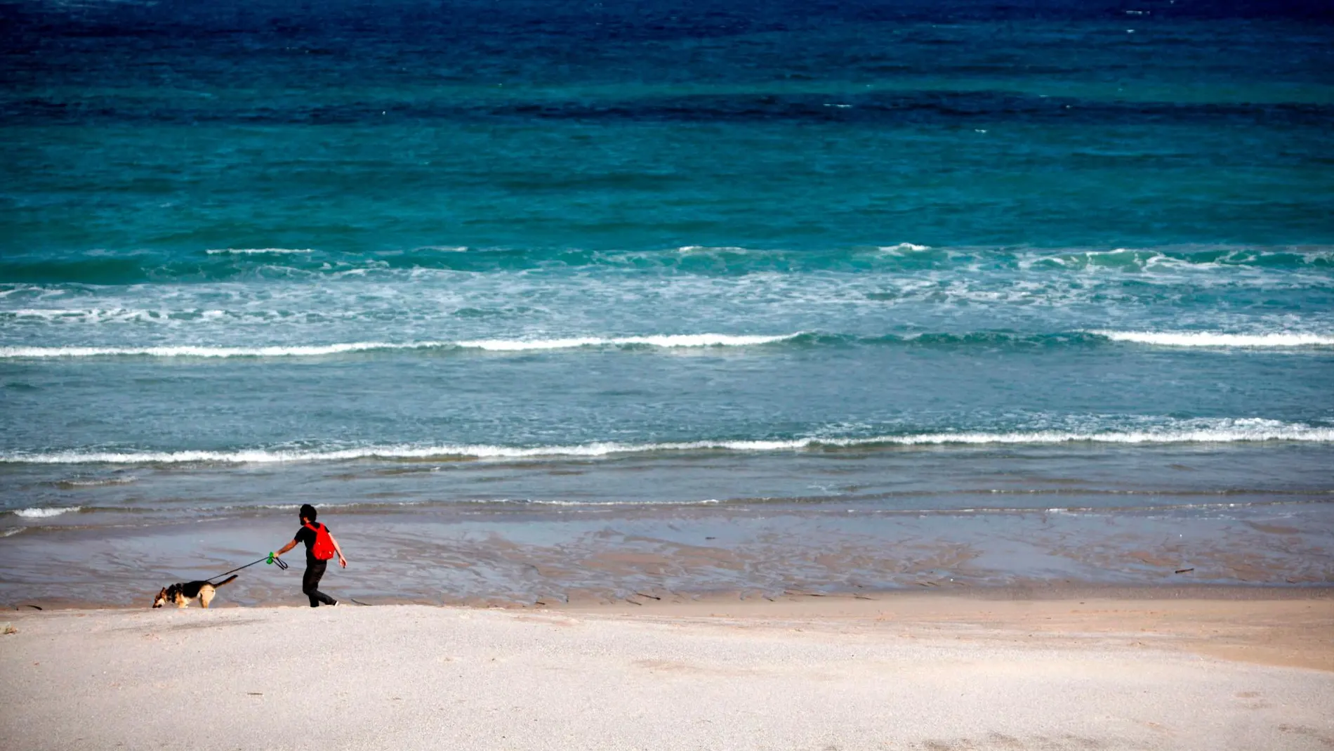 Un hombre camina con su perro por la playa del Orzán, en La Coruña/Efe
