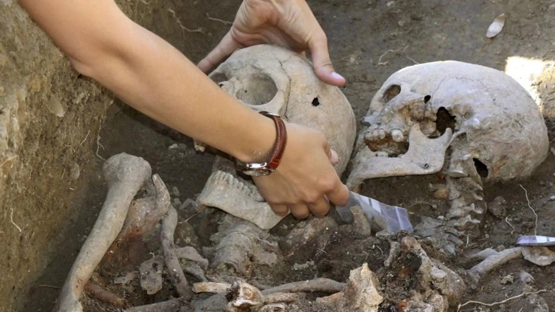 Exhumaciones en el parque de La Carcavilla, situado en pleno casco urbano de Palencia, de una fosa de represaliados.