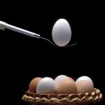 Los huevos tienen una fuerte influencia en el colesterol