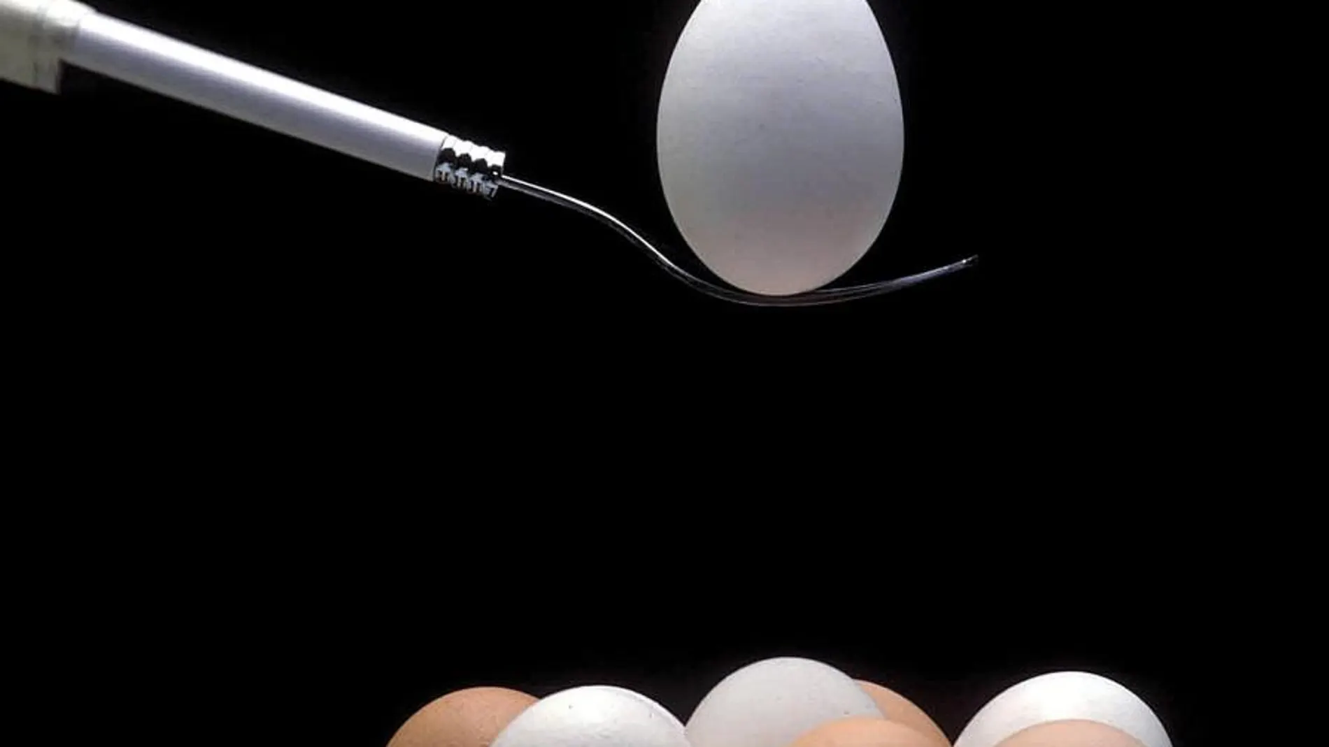 Los huevos tienen una fuerte influencia en el colesterol