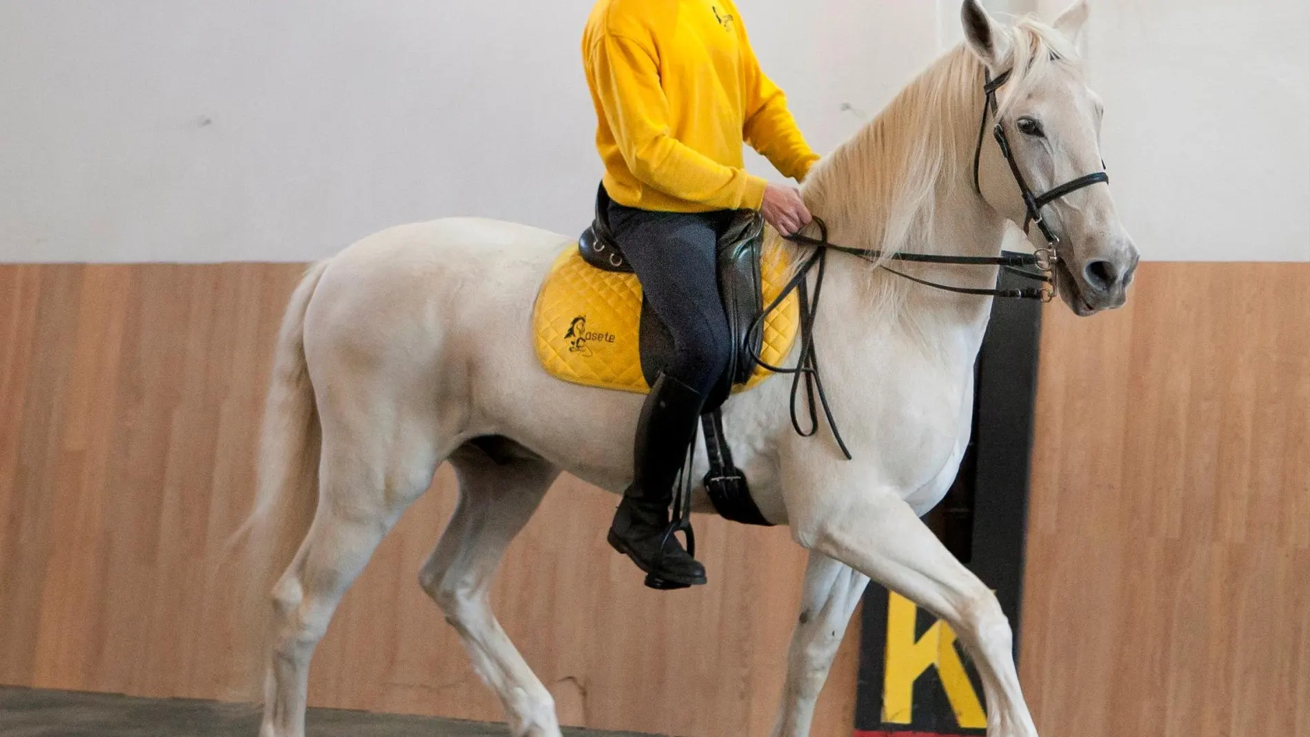 El Tribunal Superior de Justicia de la Comunitat Valenciana (TSJCV) ha dado la razón a David Huerta, un agente de la Unidad de Caballería de la Policía Nacional en Valencia que solicitó quedarse con Unicornio, el caballo con el que trabajó durante varios años