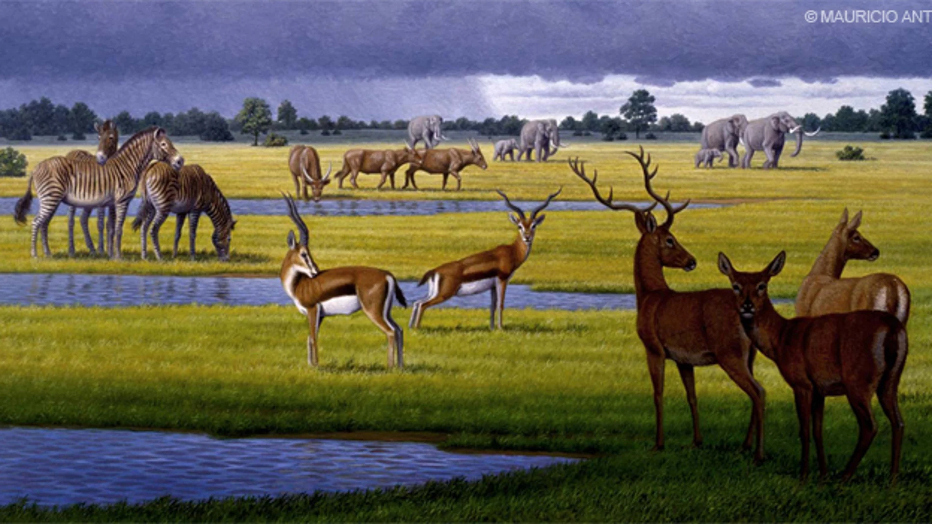 Un esmalte dental revela el clima de hace 11 millones de años