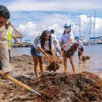 Estudiantes del municipio de Benito Juárez, en el estado de Quintana Roo (México), apoyan la limpieza de sargazo, en las playas de este centro de recreo, el pasado martes / Efe