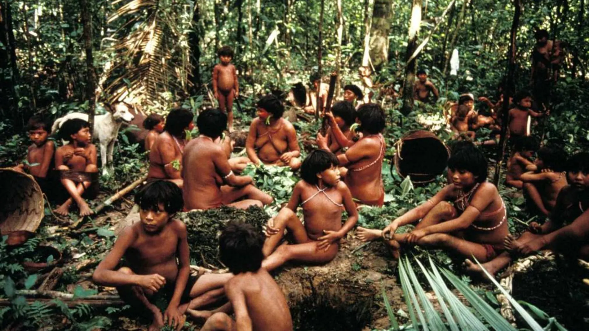 Miembros de la tribu de los yanomami