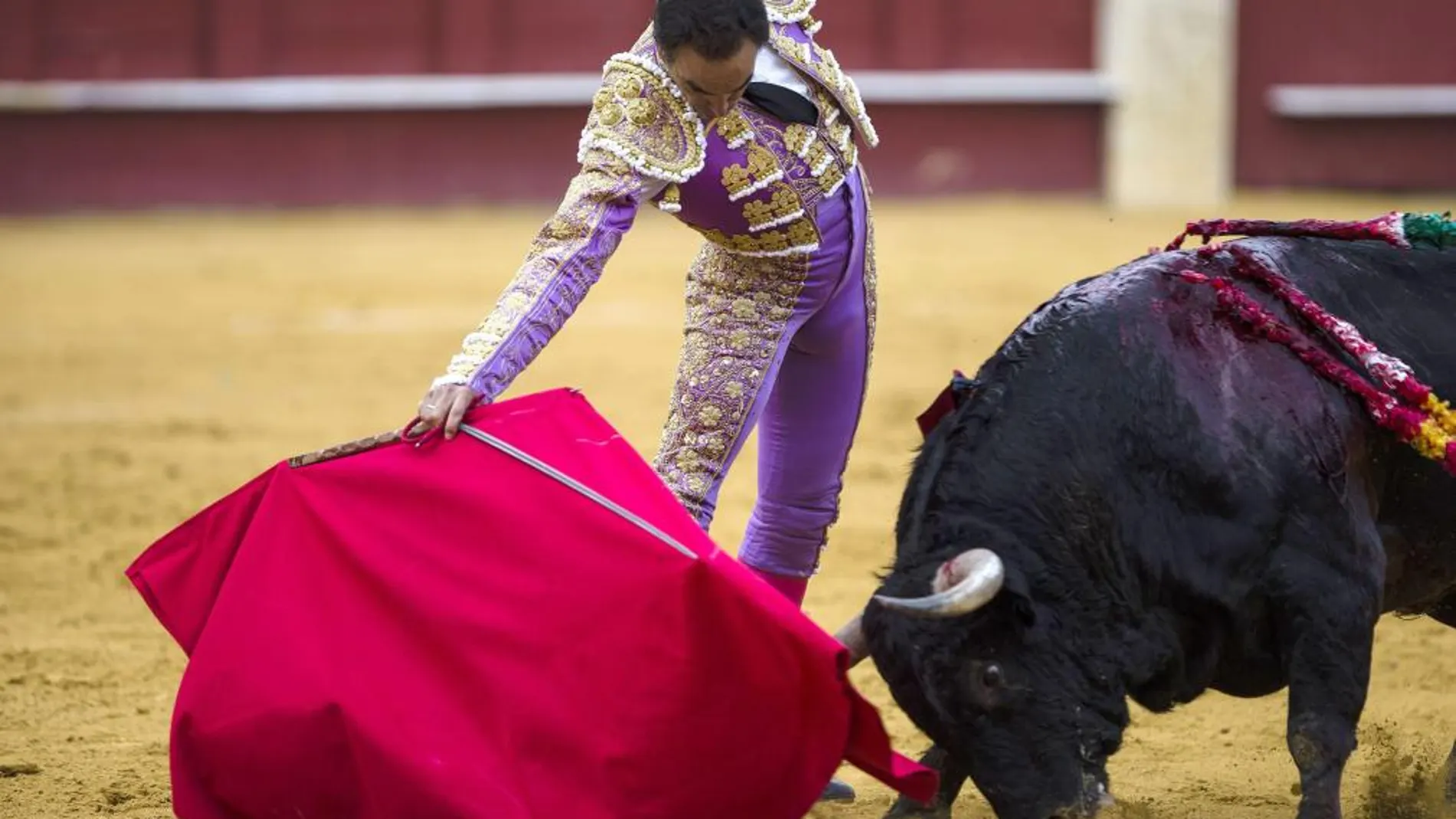 Derechazo de El Cid durante su faena al quinto, de la ganadería de Torrealta