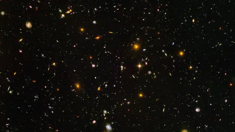 Cosmos