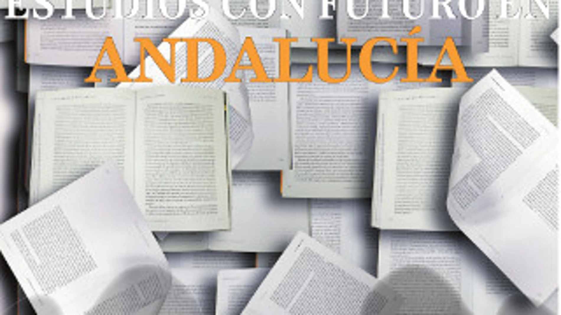 Estudios con futuro en Andalucía