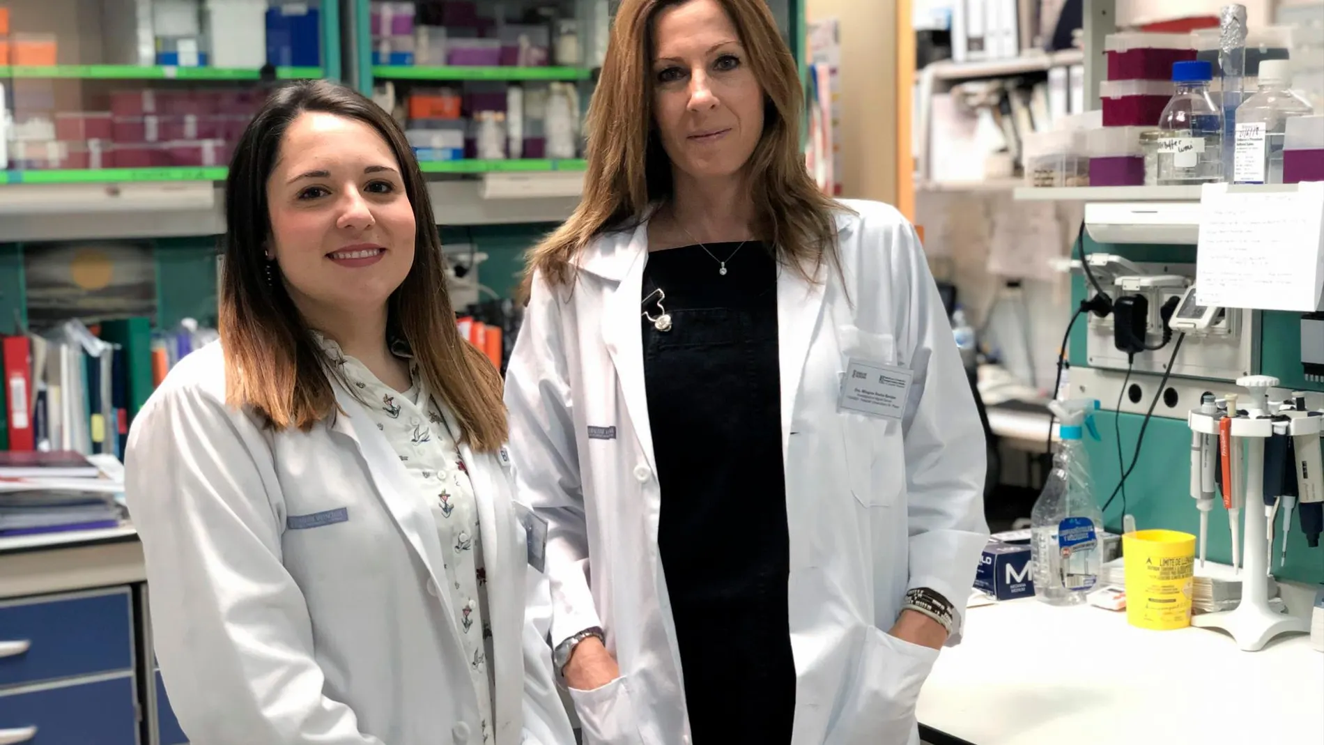 Los investigadores han demostrado cómo se modifican los mecanismos moleculares