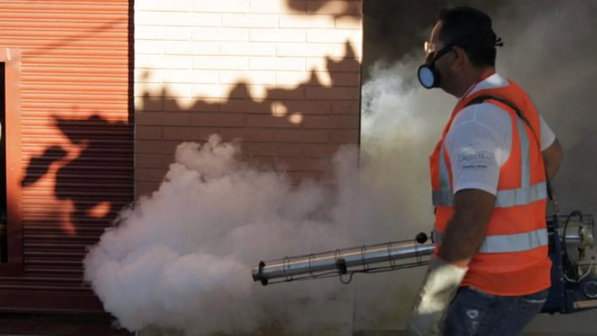 Un trabajador de la salud fumiga para combatir el dengue