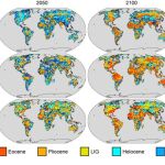 Escenarios del clima para los años 2020, 2050, 2100 y 2200 según tres modelos bien establecidos. Si las emisiones de gases de efecto invernadero no se reducen, según el estudio, el clima continuará calentándose hasta que empiece a parecerse al Eoceno en 2100. CORTESÍA DE LOS AUTORES