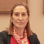 La ministra de Fomento, Ana Pastor
