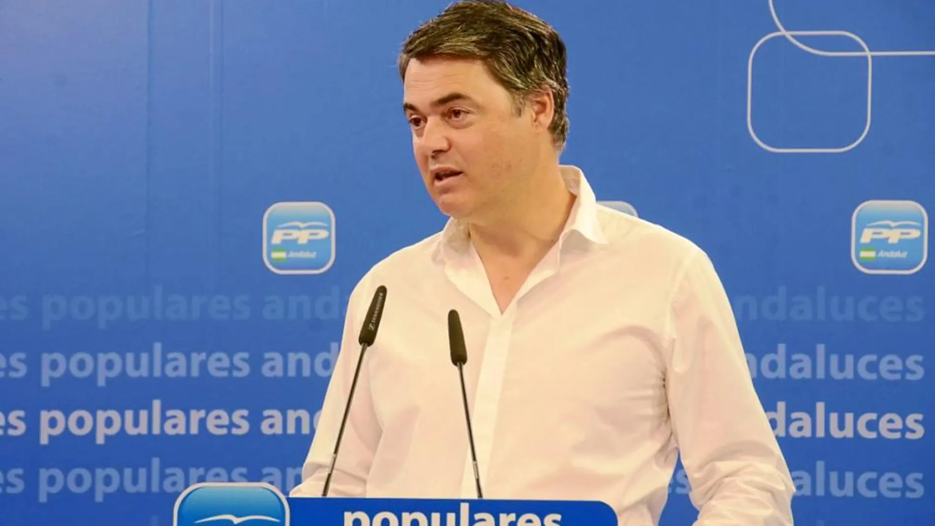 El portavoz del Grupo Popular en el Parlamento, Carlos Rojas