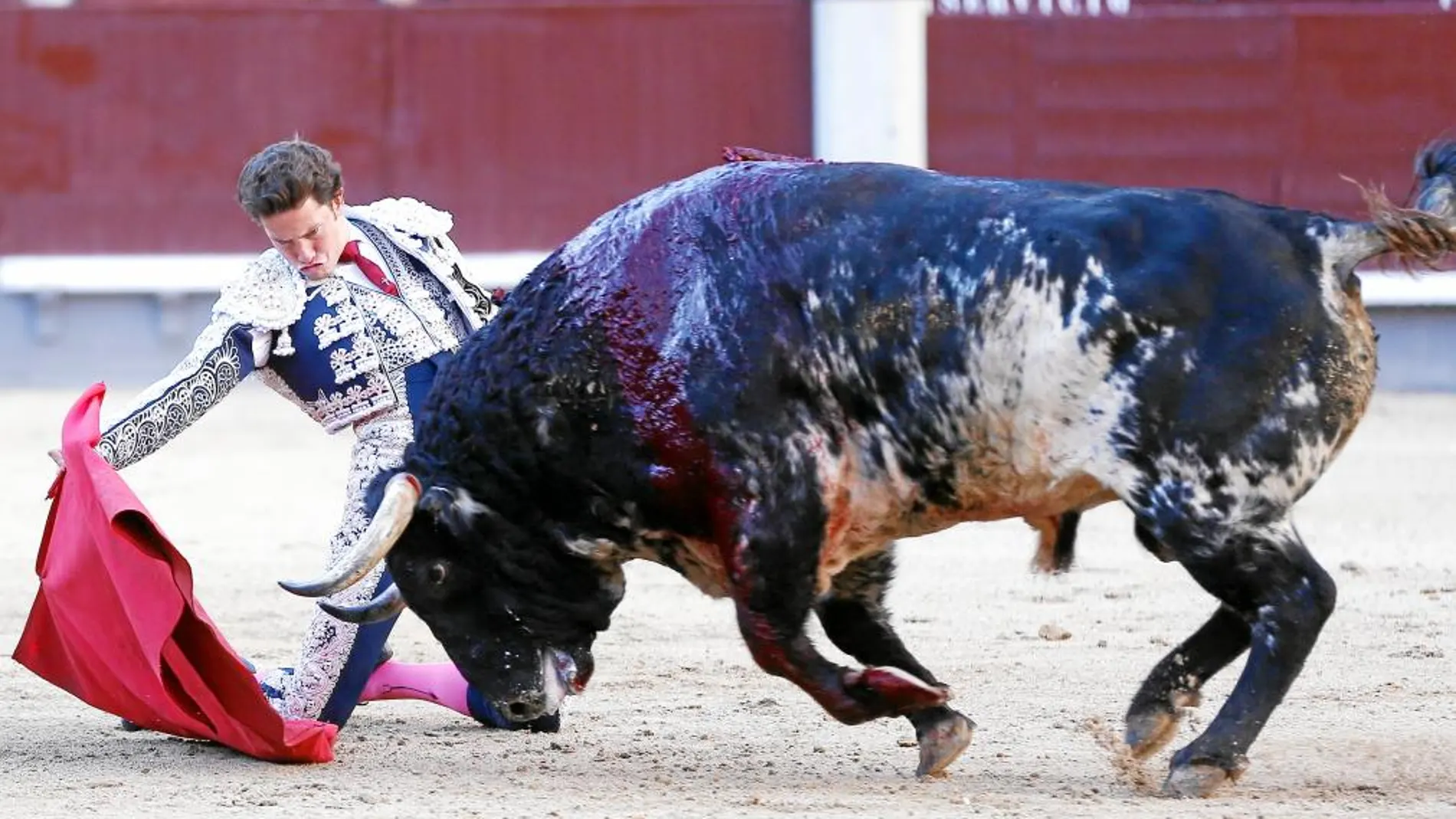 Derechazo muy templado de rodillas del torero azteca al tercer toro de El Ventorrillo, ayer, en Las Ventas