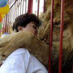 Un león recogido por un refugio para animales decomisados a narcotraficantes, circos y traficantes de fauna en Cali, Colombia