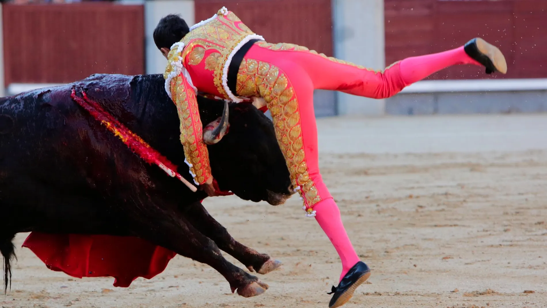 Paco Ureña es volteado por el segundo toro de Victoriano del Río (Foto: Rubén Mondelo)