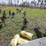 Varias personas corren para recoger los suministros lanzados desde un helicóptero en Tacloban, ayer